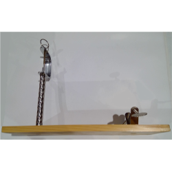 JAMONERO ARACENA ENEIDE 472916  2