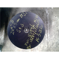 DISCO CASAMAYORP24x500m C/31 L  