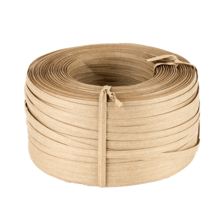 BOBINA CINTA PAPEL ECT YWP A100P 