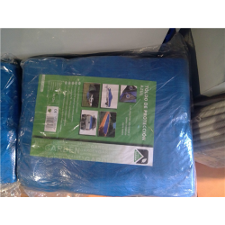 TOLDO AZUL 8x12  83008 