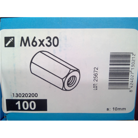 MANGUITO HEX M6X30 13020200 