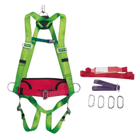 CONJUNTO ECOSAFEX-IV-BASICO SOLO 