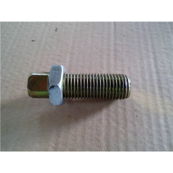 TORNILLO POSICION BRAZO 22x80-TS 