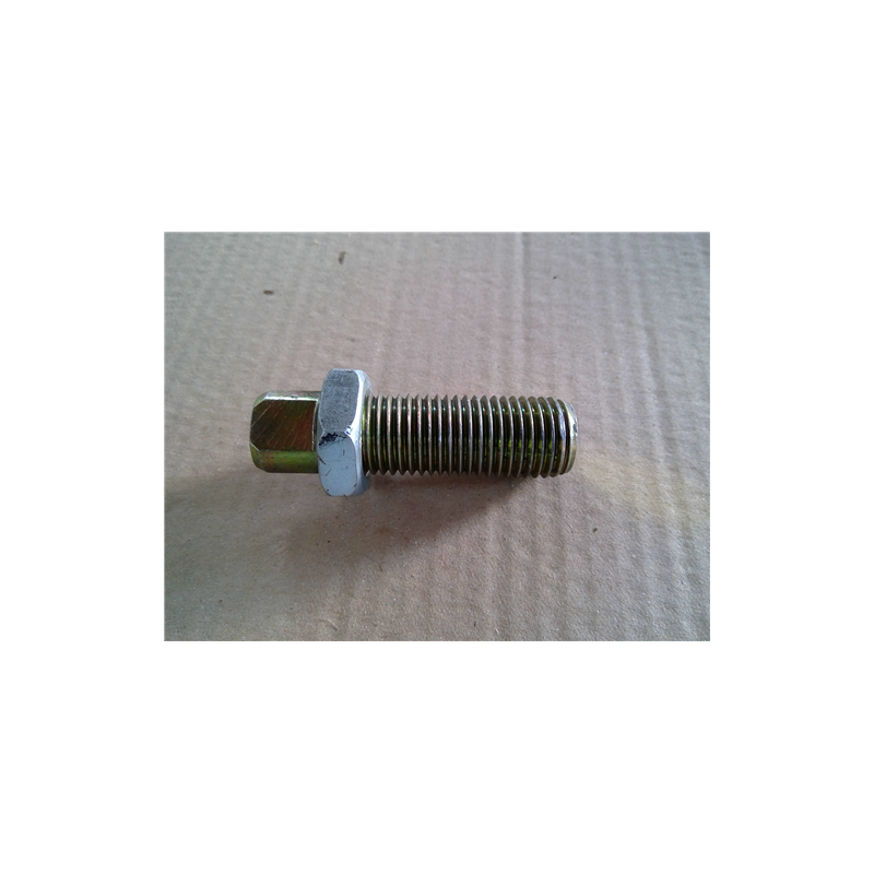 TORNILLO POSICION BRAZO 22x80-TS 