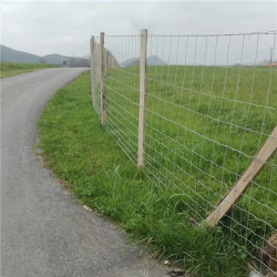 MALLA GANADERA 148-18-30 100 MTR 