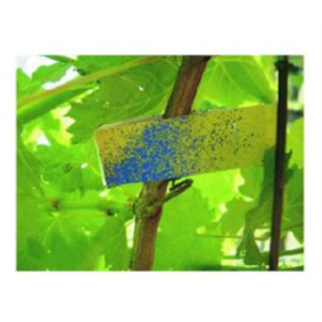 PAPEL HIDROSENSIBLE 76x26 50 ud REF429050 