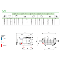BOMBA PISTONES YA 75 M-M 61160001  2