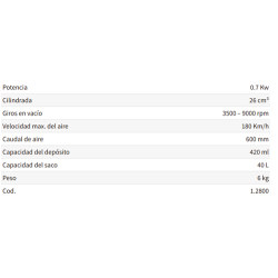 SOPLADOR STAYER GAS VENTO 25 B 12800   2