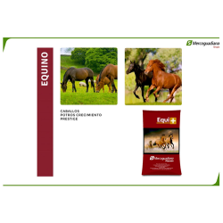 EQUI  CABALLO 30 KG 