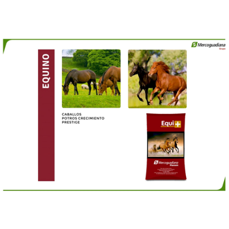 EQUI  CABALLO 30 KG 