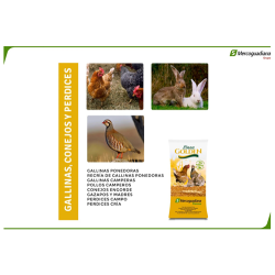 GALLINA CAMPERA 25 KG 