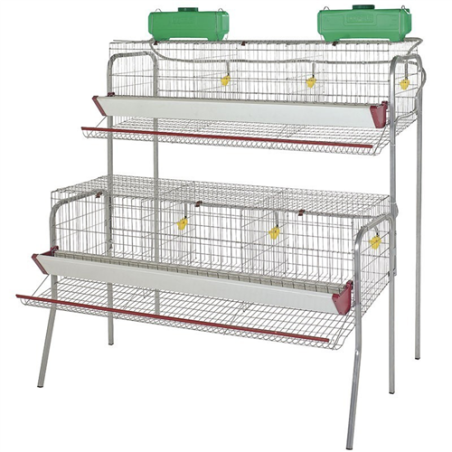 BATERIA PONEDORA 6 DPTO 2 PISOS 