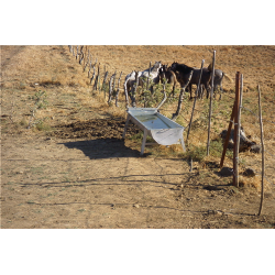 BEBEDERO CANAL B-4 50 B/ VACUNO 5 M BOYA 1 