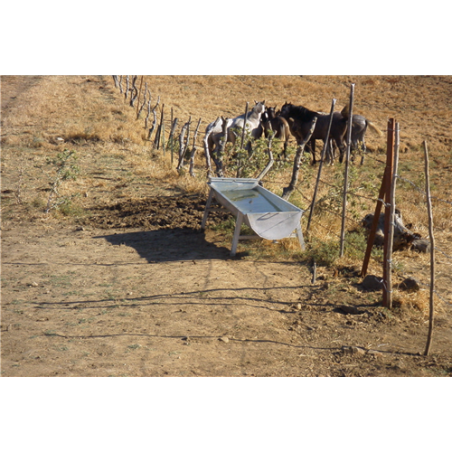 BEBEDERO CANAL B-4 50 B/ VACUNO 5 M BOYA 1 