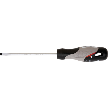 DESTORNILLBELLOTA 66210- 4x100 