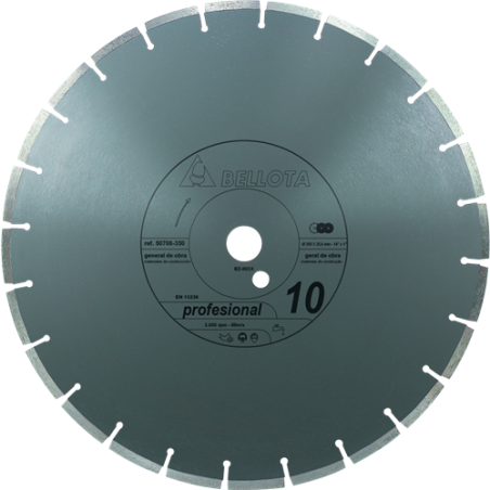 DISCOS BELL 50708 300  DIAM 