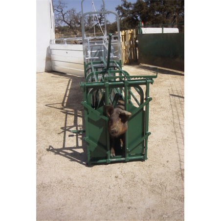 CEPO MANEJO CERDO S/ RAPIDA Y PUERTA GUILLOTINA P 
